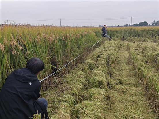 2184b16eb204c9b0f194fc7dca64b315