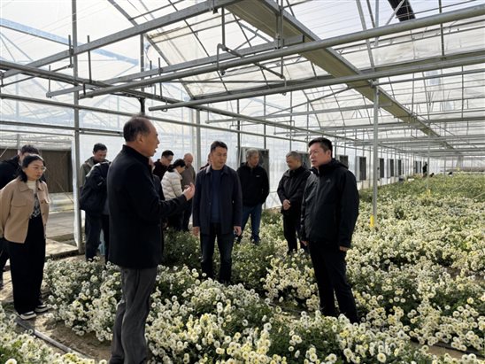 微信图片_20251127155003_297_338