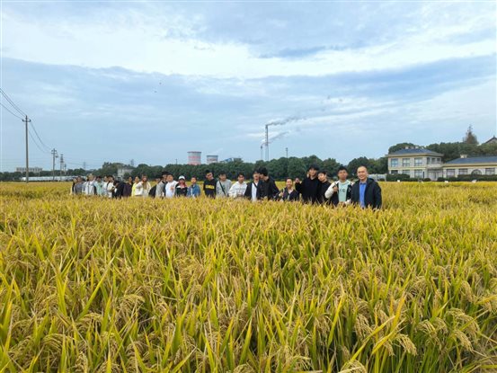 IMG_20251031_150718_1 IMG_20251031_150718_1