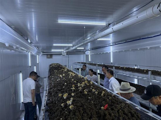 IMG_0877.HEIC IMG_0877.HEIC