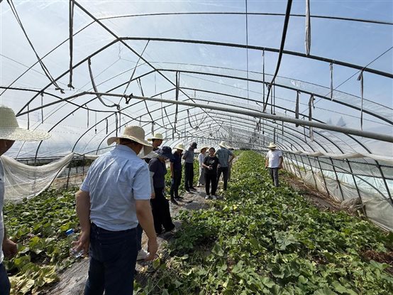 IMG_1674.HEIC IMG_1674.HEIC