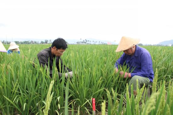 fcc4c5b84f5366580146b24bdf29b5e