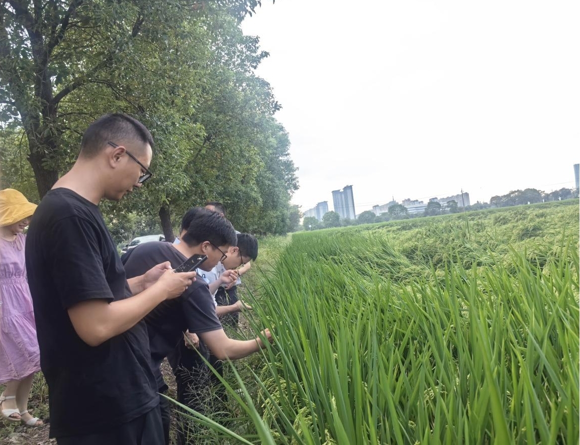 图片2.jpg 图片2.jpg