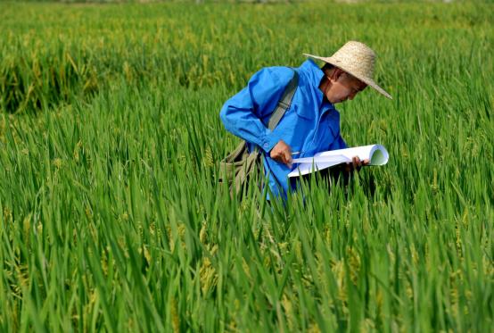 963b6df6203adaaaa75b8204202e74e